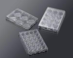 Cell Culture Plate (6 Well) with 3D scaffold