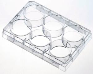 Multiwell cell culture plate (6 well), Treated for increased cell attachment