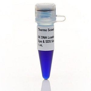 DNA Loading Dye & SDS Solution (6X)