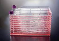 Easy Laboratory Equuipment Suppliers