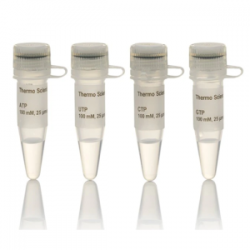 Easy Laboratory Equuipment Suppliers