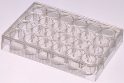 Easy Laboratory Equuipment Suppliers