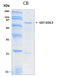 Easy Laboratory Equuipment Suppliers