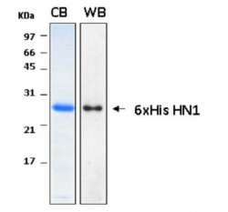 Easy Laboratory Equuipment Suppliers