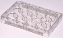 Easy Laboratory Equuipment Suppliers