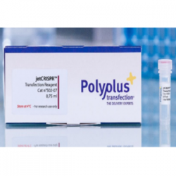 Easy Laboratory Equuipment Suppliers