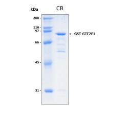 Easy Laboratory Equuipment Suppliers