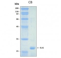 Easy Laboratory Equuipment Suppliers